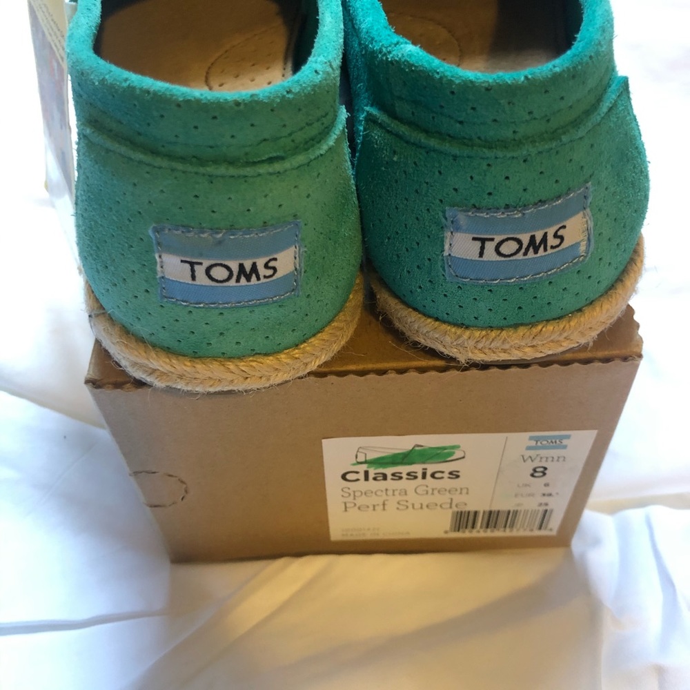 Suede Toms - Picture 3 of 6